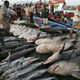 Sharks on display at an Indonesian fish market.